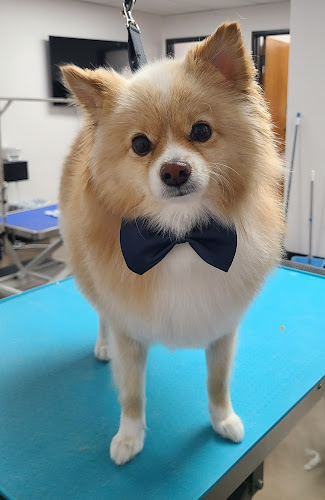 Spawz Pet Pampering & Products