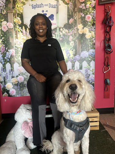 Splash and Dash Groomerie & Boutique