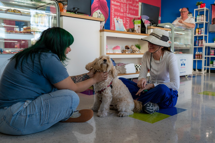 Splash and Dash Groomerie & Boutique