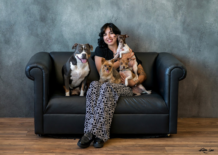 Splash Zone Dog Grooming