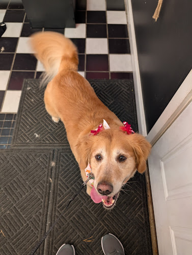 Spoiled Rotten Pet Grooming