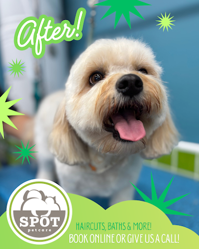 Spot Pet Care