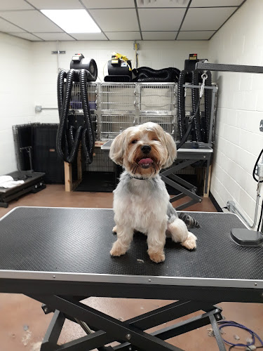 Spot's Pet Supply & Dog Wash