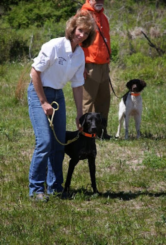 Spring Valley Kennel