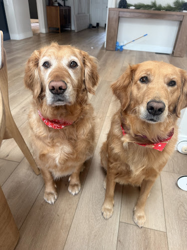 Spuds Spawz - Dog Grooming