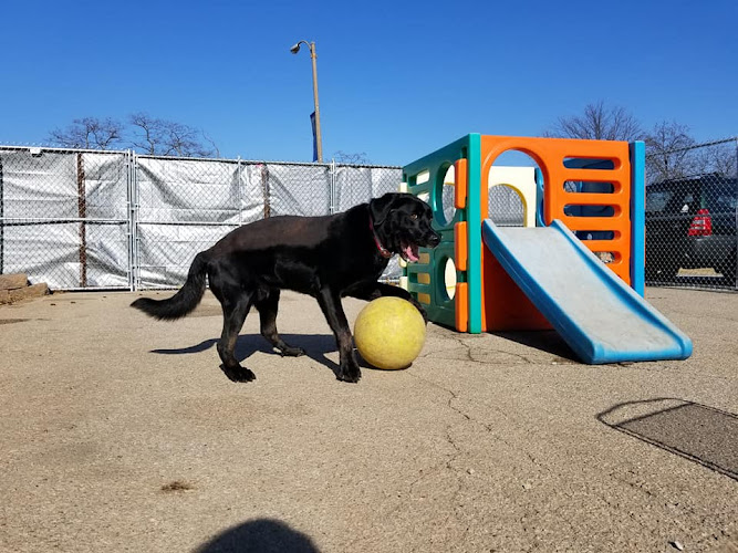 St. Louis Muttropolitan