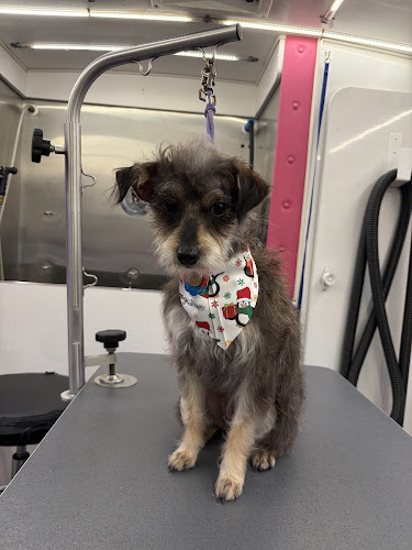 Star Barks Mobile Pet Spa