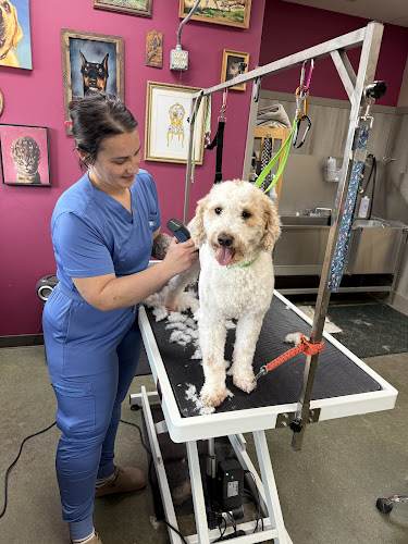 Star Pet Grooming of Muskego
