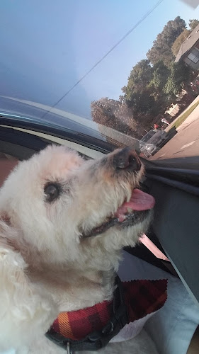 Star Struck Grooming Salon