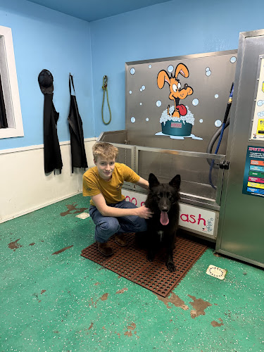 Steininger's Dog Wash