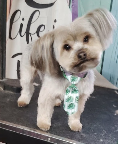 Sty'Lynn Pups & Cuts LLC