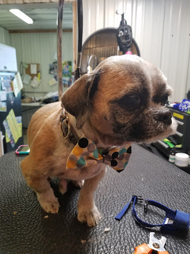 Stylin' Pooch Dog Boarding Grooming & Rescue
