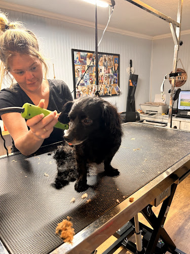 Suds In The Bucket Grooming Salon