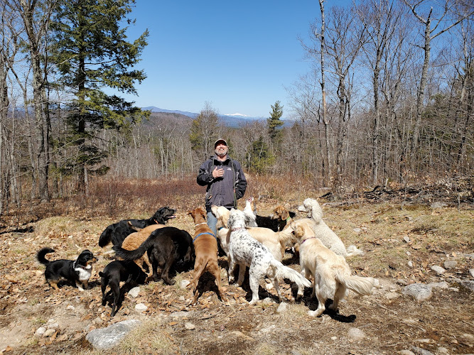 Suds & Trim Professional Grooming, Boarding & Daycare