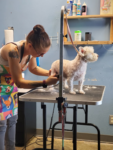 Sudzy Paws Pet Grooming