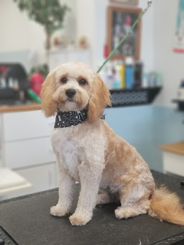 Sues posh puppies salon LLC