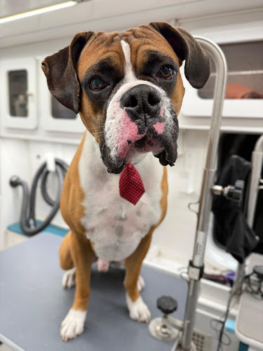 Sunset Mobile Grooming