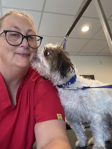 supdog, LLC. Dog Grooming