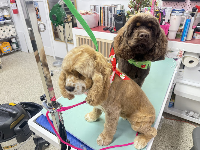 Super duper pet grooming