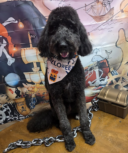 Suzette's Dog and Cat Grooming Boarding and Daycare 2nd Location