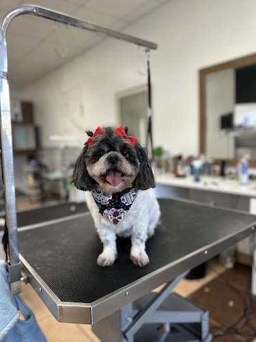 Swanson’s pet salon