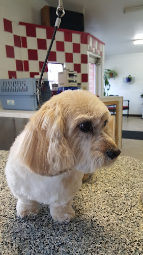 Sweetheart Pet Grooming