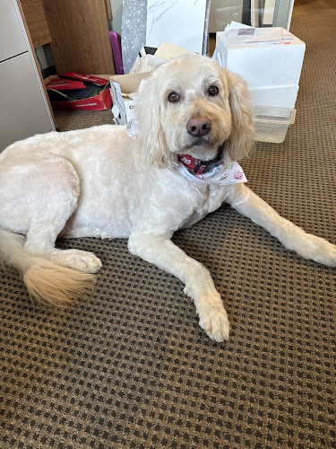 Tabby & Jack's Pet Supplies and Grooming Monona Drive