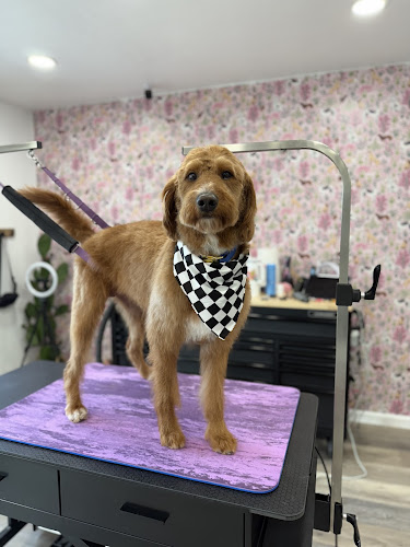 Tail To Toe Grooming Salon