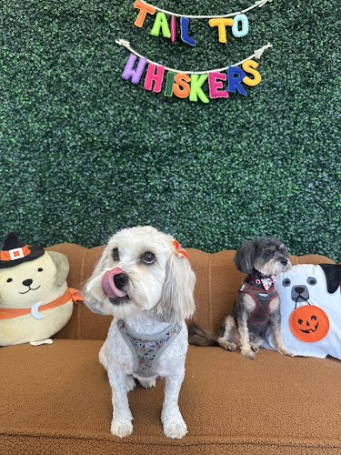 Tail to Whiskers Pet Grooming Salon