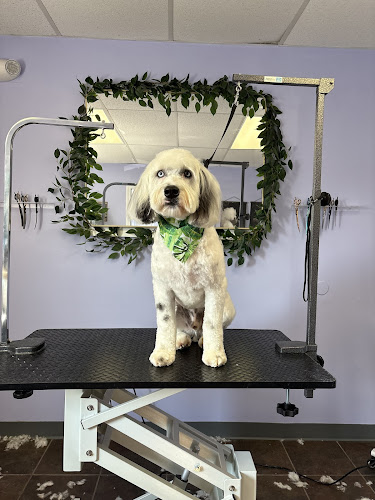 Tailored Tails Dog Grooming