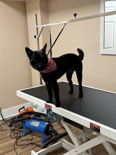 Tails of Hilton Pet Grooming