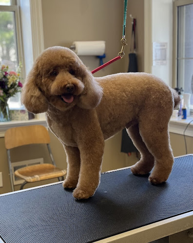 Tails R' Waggin Pet Salon