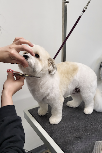 Tangled Tails Grooming Salon