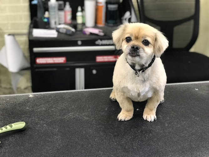 Tangled Tails Pet Salon