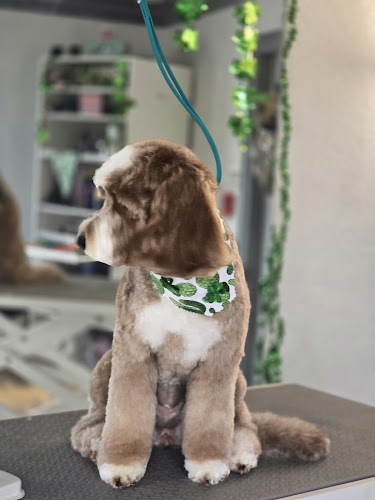 Tangled Tails Pet Spa