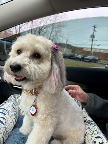 Tara's Spoiled Rotten Pet Salon