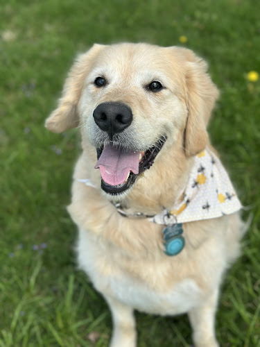 Taylor'd Tails Mobile Pet Spa, LLC