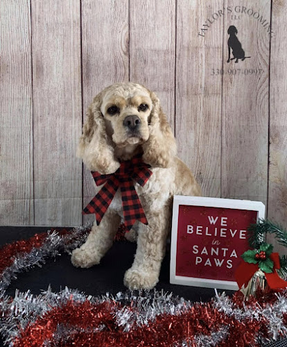 Taylor's Grooming, LLP