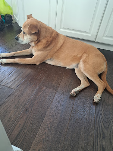 Ted's Pet Country Club Glassboro