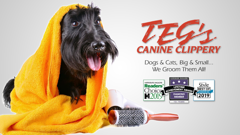 Teg's Canine Clippery