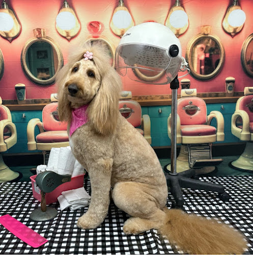 Temple of the Dog Grooming Salon LLC