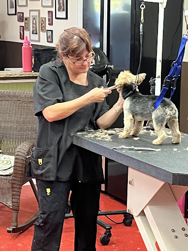 Tender Care Pet Salon and Day Spa