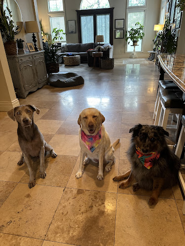 Texas Mobile Pet Spa