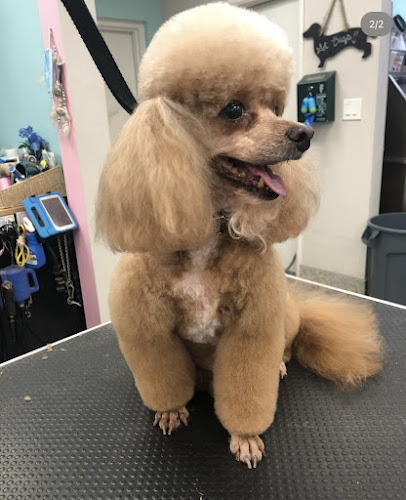 That Groomer Dood LLC