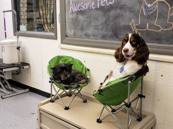 The Animal House Pet Grooming