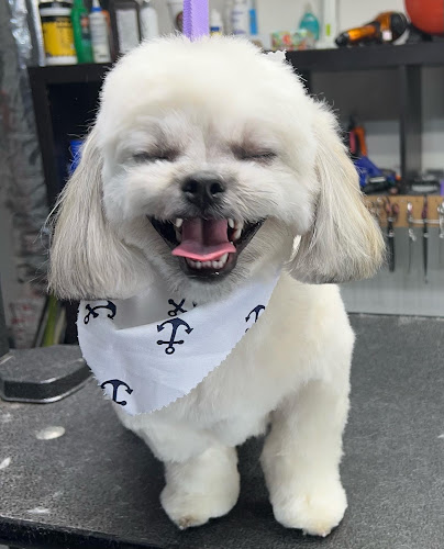 The Barker Shop - Jacksonville, FL