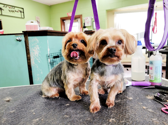 The Barking Lot Grooming Salon, LLC