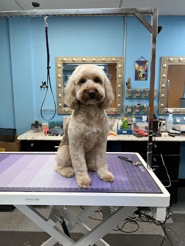 The Chop Shop by SCSPoodles