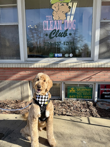 The clean dog club LLC