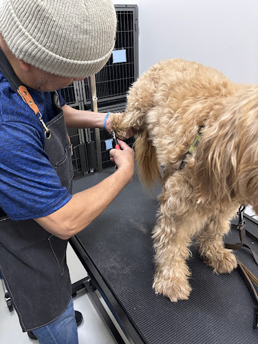 The Dapper Dog Salon LLC